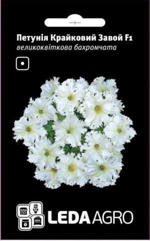 Петуния Краечный Завой F1 большекв., бахромч. 10 семян. L