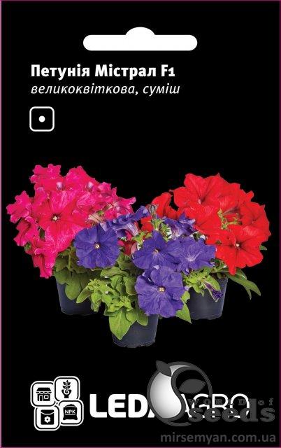 Петуния Мистрал F1 большекв., смесь 10 семян. L Петуния Мистрал F1 большекв., смесь 10 семян. L