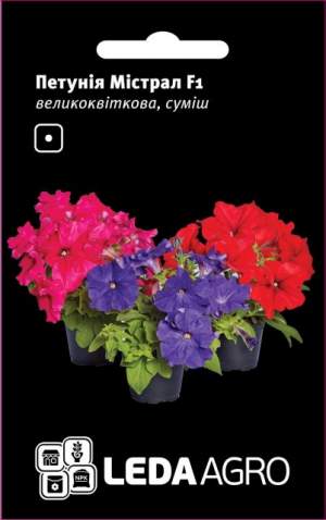 Петуния Мистрал F1 большекв., смесь 10 семян. L