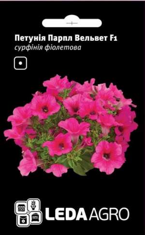 Петуния Парпл Вельвет F1 5 семян. L