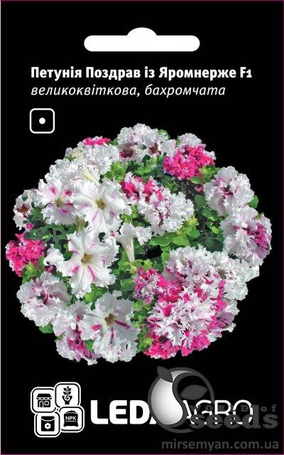 Петуния Поздравление с Яромнерже F1 10 семян. L Петуния Поздравление с Яромнерже F1 10 семян. L