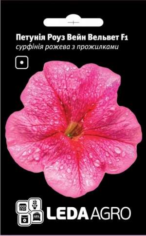 Петуния Роуз Вейн Вельвет F1 5 семян. L