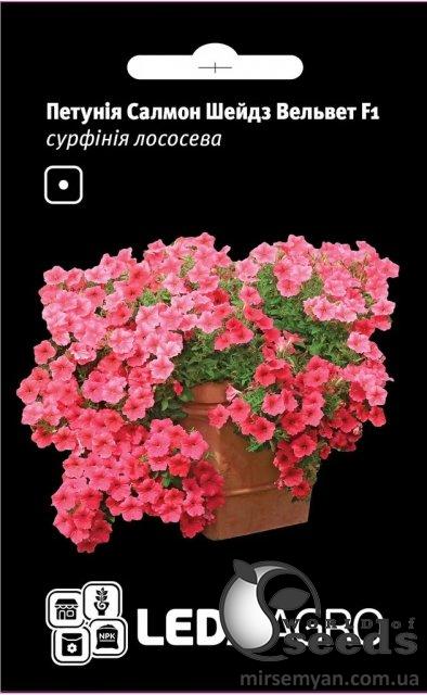 Петуния Салмон Шейдз Вельвет лососевая F1 5 семян. L Петуния Салмон Шейдз Вельвет лососевая F1 5 семян. L