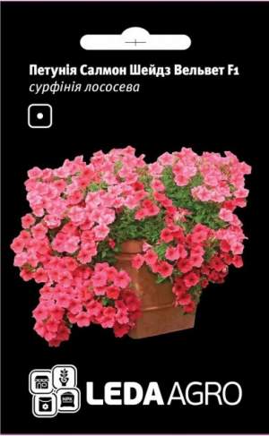 Петуния Салмон Шейдз Вельвет лососевая F1 5 семян. L