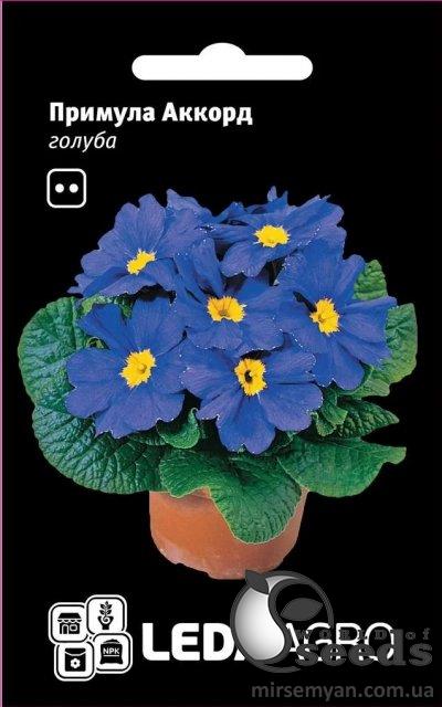 Примула Аккорд F1 голубая 10 семян. L Примула Аккорд F1 голубая 10 семян. L