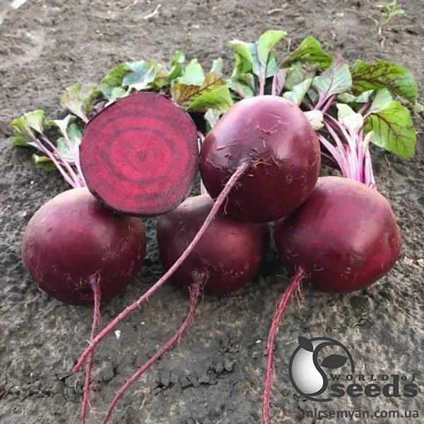 Свекла Комаро F1 200 семян. L Свекла Комаро F1 200 семян. L