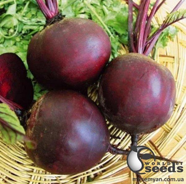 Свекла Кестрел F1 200 семян. L Свекла Кестрел F1 200 семян. L