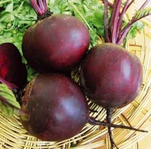 Свекла Кестрел F1 200 семян. L Свекла Кестрел F1 200 семян. L