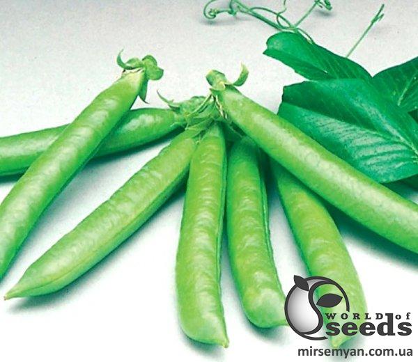 Горох Сомервуд 20 семян. L Горох Сомервуд 20 семян. L