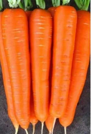 Морковь Каротан 1г Л