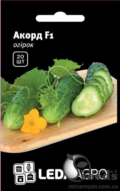 Огурец Аккорд F1 20 семян. L Огурец Аккорд F1 20 семян. L