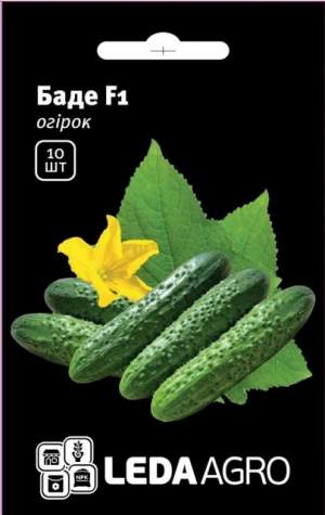 Огурец Баде F1 10 семян. L Огурец Баде F1 10 семян. L