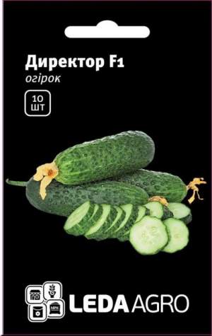 Огурец Директор F1 10 семян.  L Огурец Директор F1 10 семян.  L