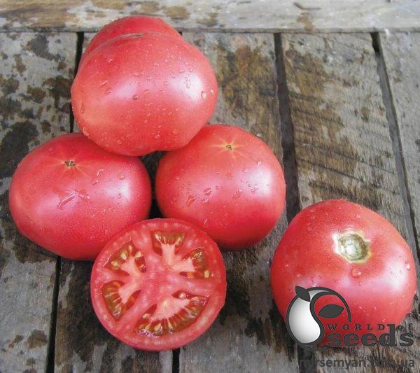 Помидоры Тарпан F1 10 семян. L Помидоры Тарпан F1 10 семян. L