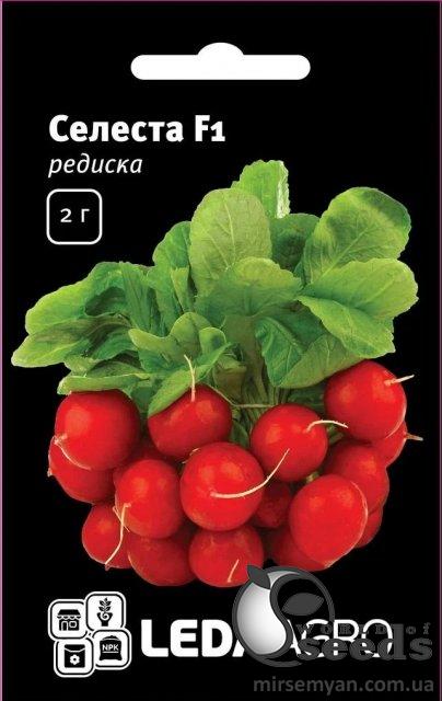 Редис Селеста F1 2 гр. L Редис Селеста F1 2 гр. L