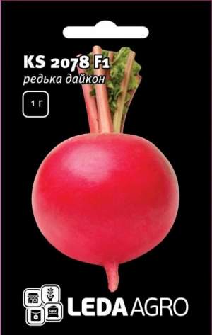 Редька KS 2078 F1 2 гр. L Редька KS 2078 F1 2 гр. L