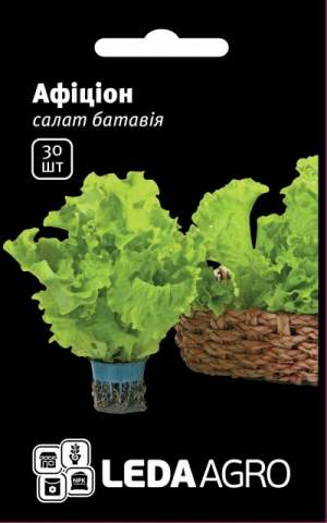 Салат Афицион батавия 30 семян. L Салат Афицион батавия 30 семян. L