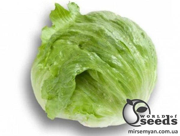 Салат Картагенас 10 семян. L Салат Картагенас 10 семян. L