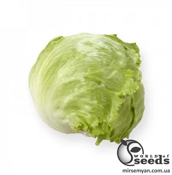 Салат Платинас 10 семян. L Салат Платинас 10 семян. L