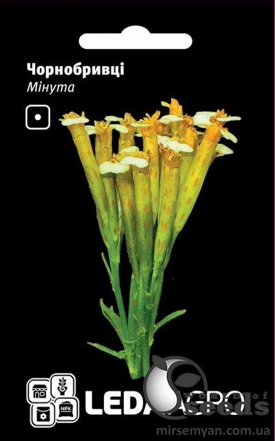 Бархатцы Минута 0,3г. L Бархатцы Минута 0,3г. L