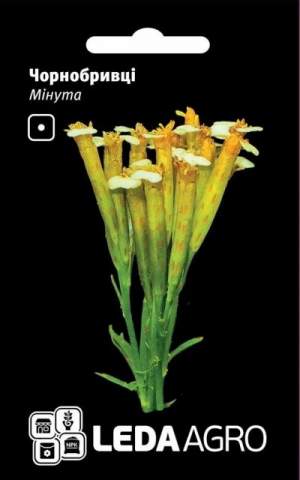 Бархатцы Минута 0,3г. L Бархатцы Минута 0,3г. L