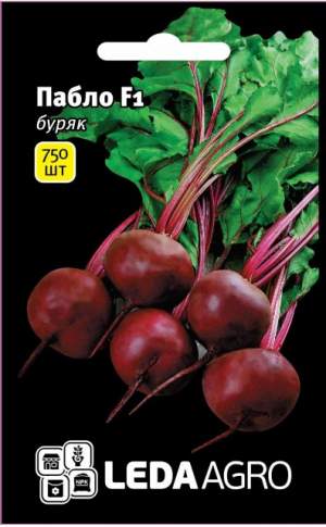 Свекла Пабло F1 750 семян.  L Свекла Пабло F1 750 семян.  L