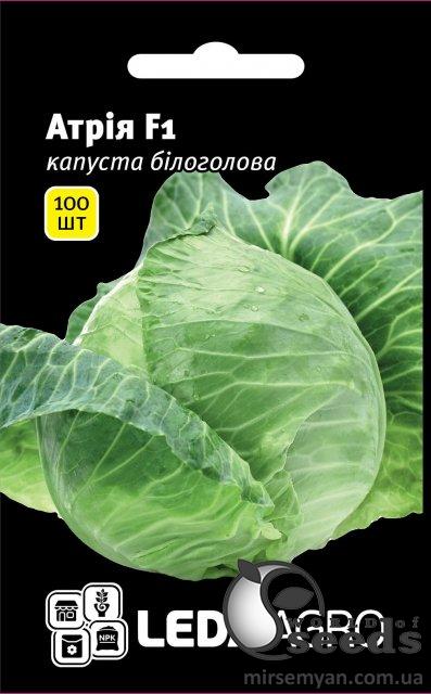 Капуста Атрия F1 100 семян. L Капуста Атрия F1 100 семян. L