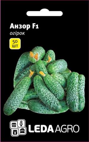 Огурец Анзор F1 50 семян.  L Огурец Анзор F1 50 семян.  L