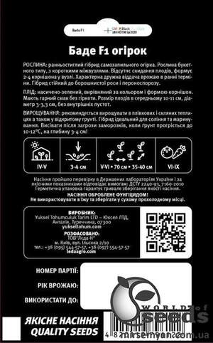 Огурец Баде F1 50 семян.  L