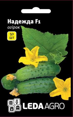 Огурец Надежда F1 50 семян. L Огурец Надежда F1 50 семян. L