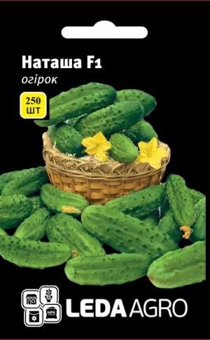 Огурец Наташа 250 семян. L Огурец Наташа 250 семян. L