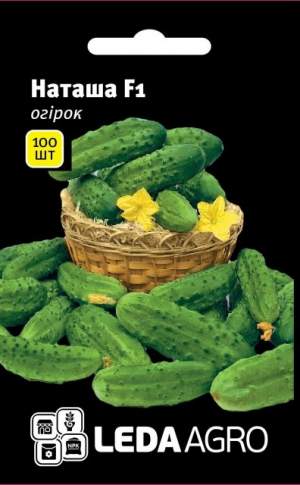 Огурец Наташа F1 100 семян. L Огурец Наташа F1 100 семян. L