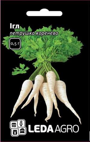 Петрушка корневая Игл/Eagl 5г L (Bejo) Петрушка корневая Игл/Eagl 5г L (Bejo)