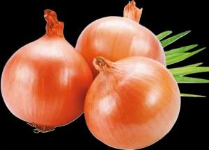 Лук Дайтона F1 5000 семян.  L Лук Дайтона F1 5000 семян.  L