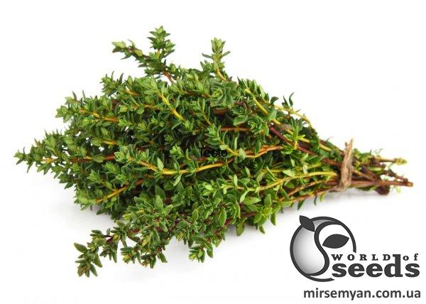 Тимьян тимян зимний сезон 5г. L Тимьян тимян зимний сезон 5г. L