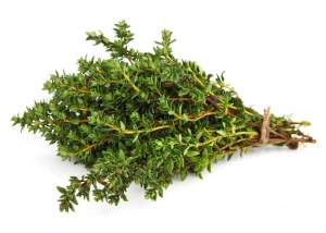 Тимьян тимян зимний сезон 5г. L Тимьян тимян зимний сезон 5г. L