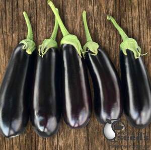 Баклажаны Казимир F1, 1000 семян. (Clause) Баклажаны Казимир F1, 1000 семян. (Clause)