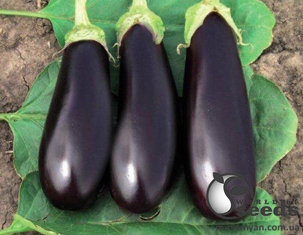 Баклажаны Фабина 50г (Clause) Баклажаны Фабина 50г (Clause)