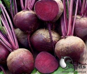 Свекла Нобол 250 гр. (Clause) Свекла Нобол 250 гр. (Clause)