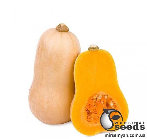 Тыква Сибель F1 1000 семян. (Clause) Тыква Сибель F1 1000 семян. (Clause)