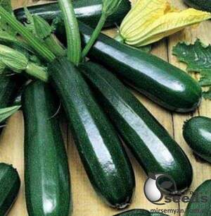 Кабачок Кора F1 500 семян. (Clause) Кабачок Кора F1 500 семян. (Clause)