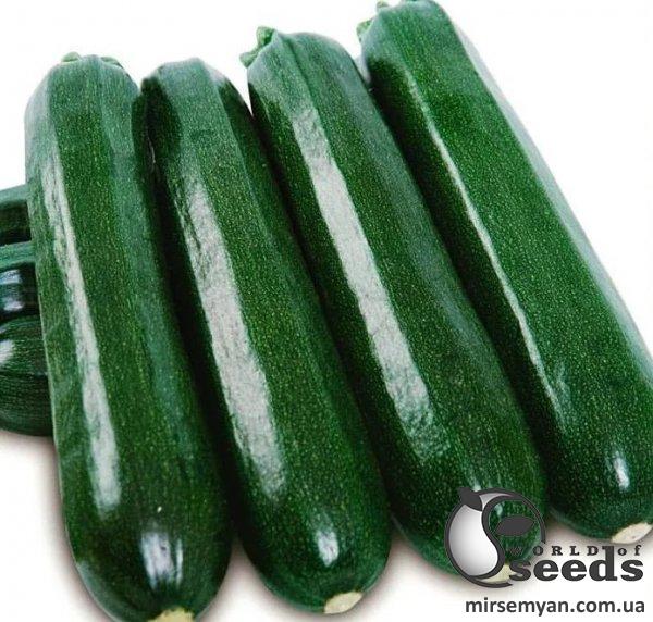 Кабачок Кора F1 500 семян. (Clause) Кабачок Кора F1 500 семян. (Clause)