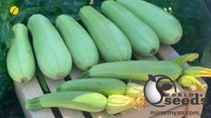 Кабачок Ясна F1 500 семян. Клоз Кабачок Ясна F1 500 семян. Клоз