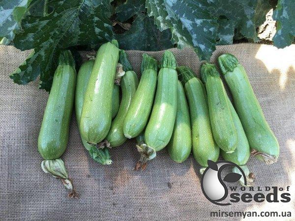 Кабачок Ясна F1 500 семян. Клоз Кабачок Ясна F1 500 семян. Клоз