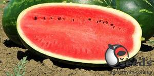 Арбуз Мелина F1 1000 семян. (Clause)