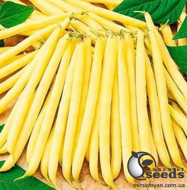 Фасоль Фруидор 500 гр. (Clause) Фасоль Фруидор 500 гр. (Clause)