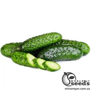 Огурец Ромара F1 50 семян. А Огурец Ромара F1 50 семян. А