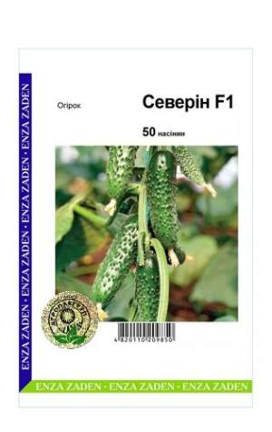 Огурец Северин F1 50 семян. А