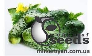 Огурец Убеда F1 50 семян. А