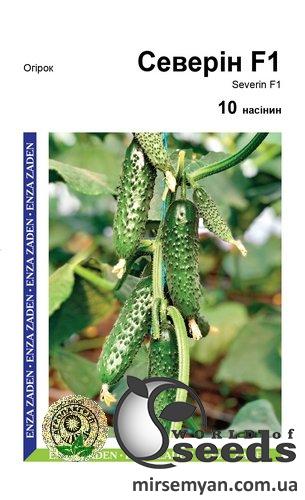 Огурец Северин F1 10 семян. А Огурец Северин F1 10 семян. А